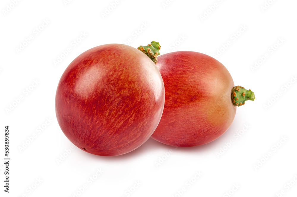 Red grapes isolated on white background. Red grapes isolated on white background.