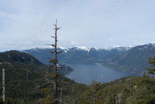 Fotografia, Obraz シートゥスカイゴンドラ　BC州　バンクーバー　カナダ　Sea to Sky Gondola　Howe Sound　海　大自然　森
