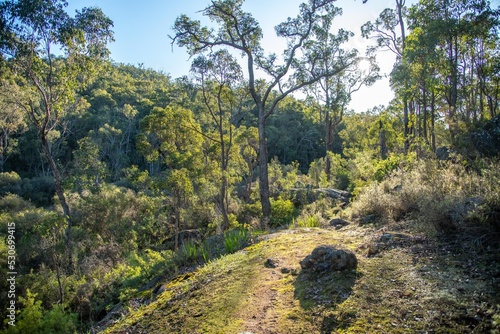 Collie WA on the Wilman Bilya Hiking Track