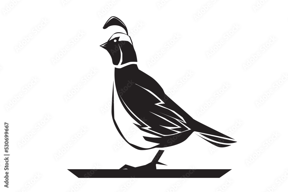 Fototapeta premium silhouette of a bird