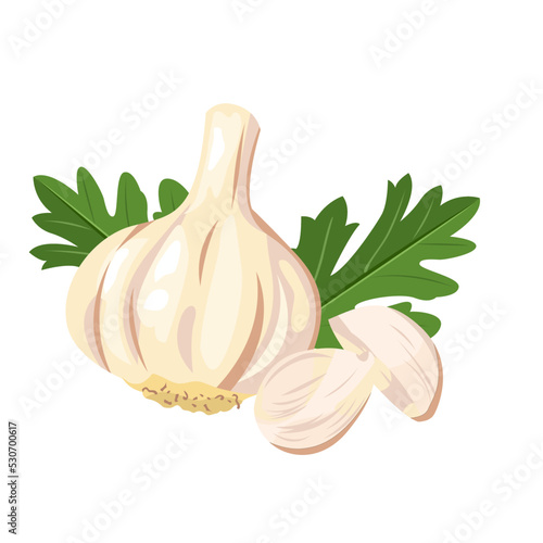fresh garlic with leaves