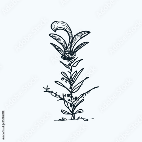 Vintage hand drawn sketch imaginary plant