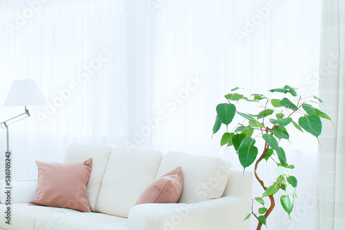 窓辺のソファーと観葉植物