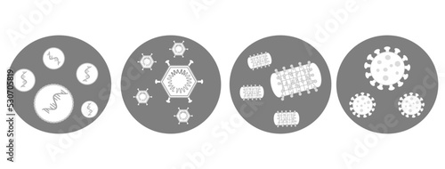 The vaccine icons that represent in 4 types : mRNA, Viral vector, Protein subunits and inactivated viral