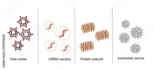 The classification of COVID-19 vaccines in current uses: Viral vector, mRNA, Protein subunits and inactivated virus that represent in icon concept.