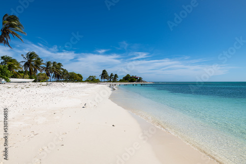 Tropical white beach with crystalline water in "Dos Mosquises" islands (Los Roques Archipelago, Venezuela).