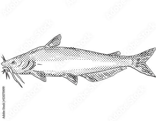 Cartoon style drawing of a blue catfish or Ictalurus furcatus freshwater fish found in North America with halftone dots on isolated background in black and white. photo