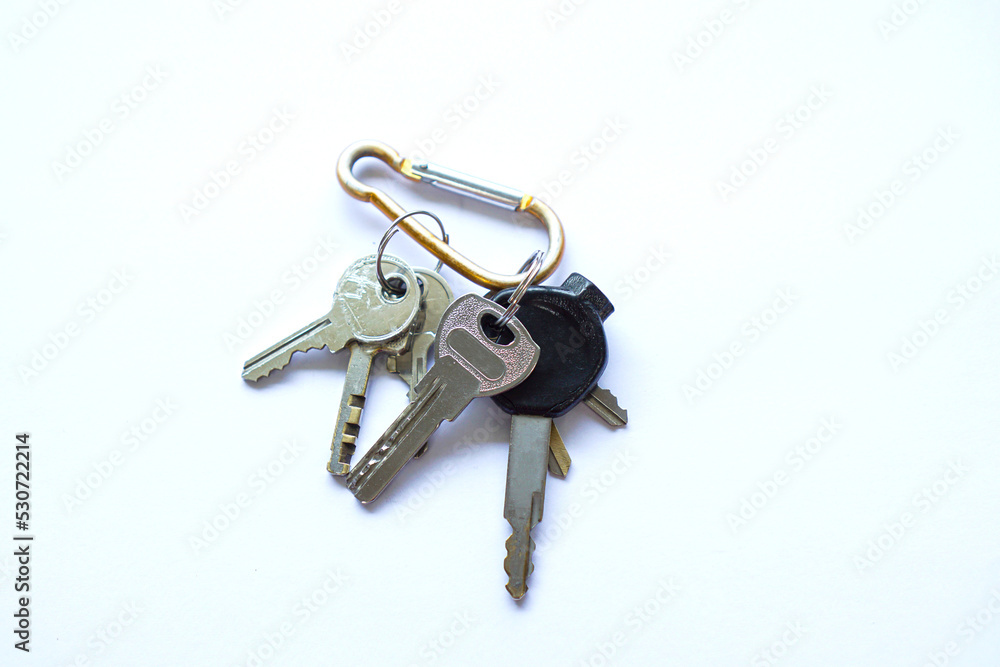 a collection of house keys tied with a carabiner