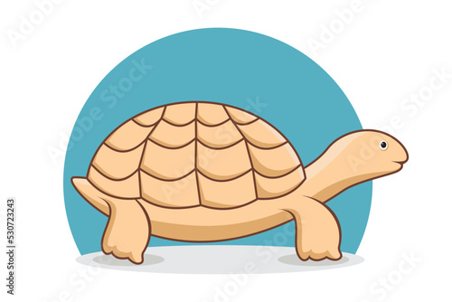 Turtle. Reptile. Cute turtle illustration