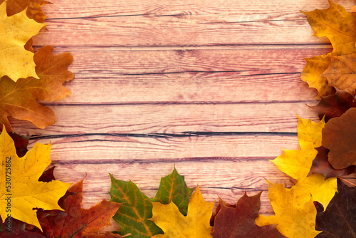 Autumn leaves on a wooden background. Seasonal background with empty space.