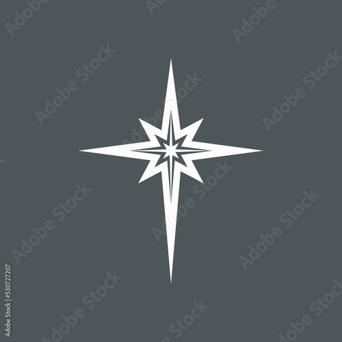 Star north quality vector illustration cut
