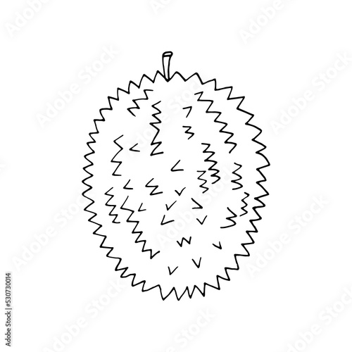 durian fruit hand drawn in doodle style. icon, sticker, menu.