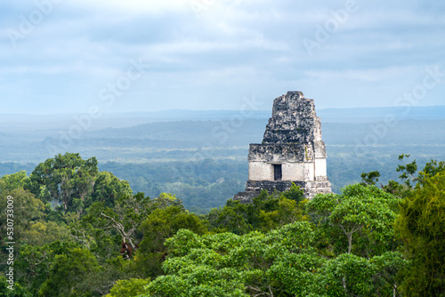 Fotografie ruins of Maya temple Tikal above tree tops, Guatemala