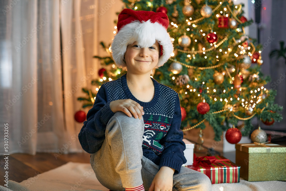 Portrait of a boy in a santa claus hat with a gift in his hands next to a Christmas tree decorated with garlands. Merry Cristmas Portrait of a boy in a santa claus hat with a gift in his hands next to a Christmas tree decorated with garlands. Merry Cristmas