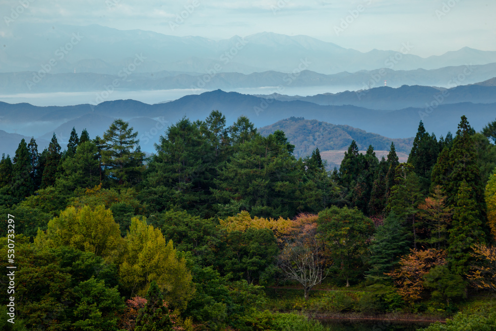 Obraz premium 森と山々