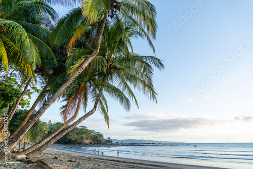 Fototapeta Naklejka Na Ścianę i Meble -  palm trees on the beach, Santa Catalina, Panama