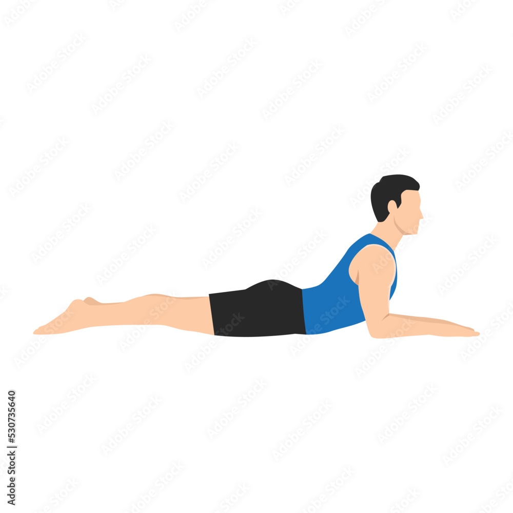 Man doing salamba bhujangasana sphinx pose exercise. Flat vector illustration isolated on white background