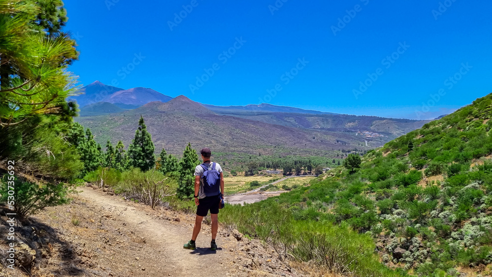 Man with scenic view on volcano Pico del Teide surrounded by Canarian pine tree forest, Teno mountain, Tenerife, Canary Islands, Spain, Europe. Hiking trail from Santiago to Masca via Pico Verde