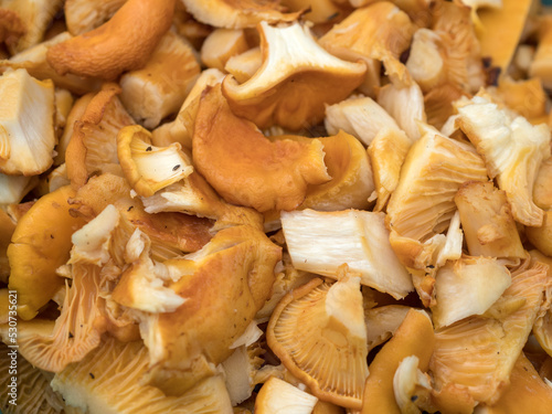 chopped chanterelle mushrooms for frying