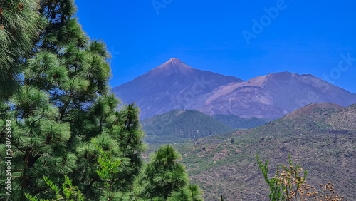 Scenic view on volcano Pico del Teide seen from Pico Verde  Teno mountain range  Tenerife  Canary Islands  Spain  Europe. Hiking trail in Masca village. Focus on lush green Canarian pine tree forest
