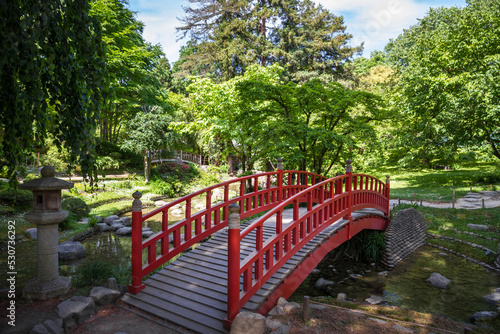 Traditional red wooden bridge on a japanese garden pond