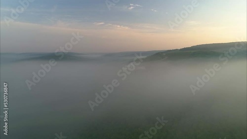 Wallpaper Mural white modern bulding appearing from the fog over the forrest Torontodigital.ca