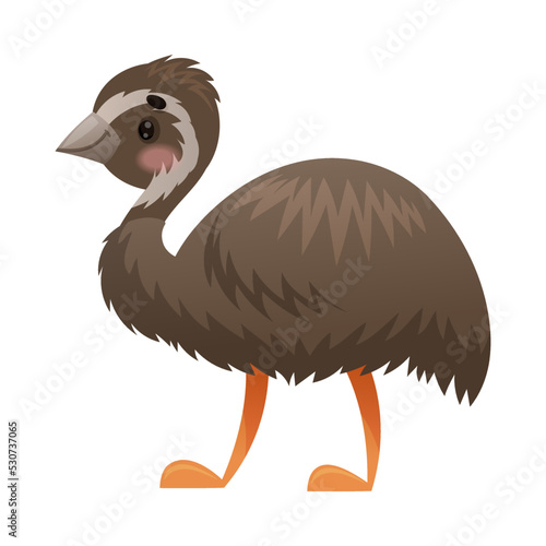 Cute Emu Bird with Long Neck as Australian Animal and Endemic Fauna Vector Illustration