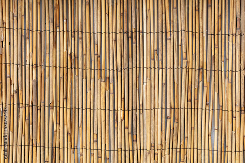 Fototapeta Naklejka Na Ścianę i Meble -  Reed fence wall as abstract background.
