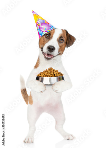 Jack russell terrier puppy wearing party cap holds  bowl of dry dog food. isolated on white background © Ermolaev Alexandr