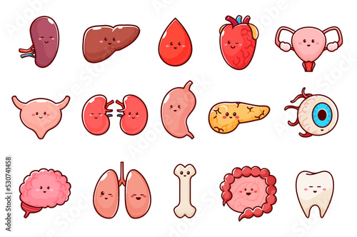 Cartoon human body organ characters. Isolated vector kidney, liver, blood drop and heart. Uterus, bladder and lungs, stomach or pancreas, eye ball, brain and bone, intestines, tooth anatomy personages