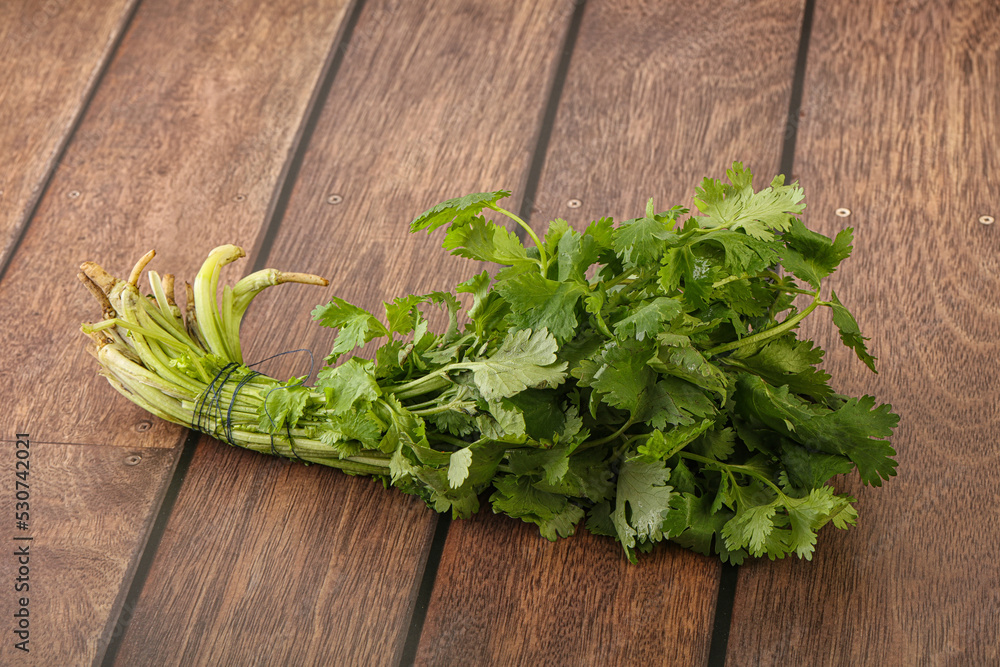 Green coriander leaves herb heap Green coriander leaves herb heap