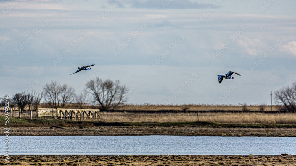 Obraz premium planes flying in the sky