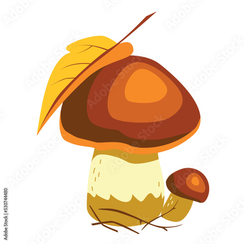 Autumn edible white boletus mushroom with a leaf isolated on a white background. Forest plants. Vector illustration in hand-drawn style for decoration, postcards