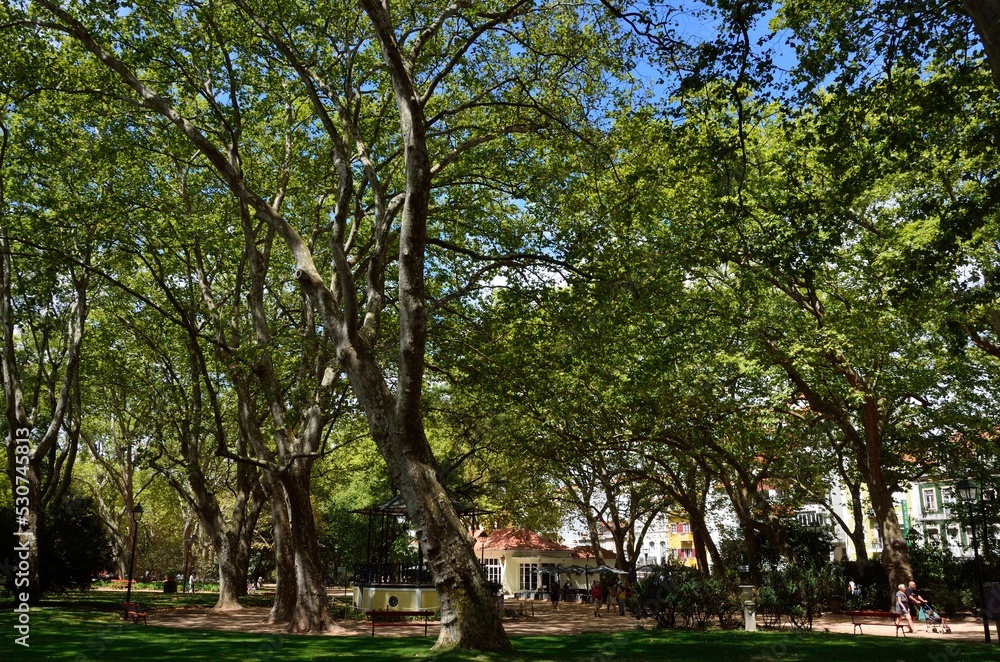 Parque Dom Carlos I, Caldas da Rainha, Estremadura, Portugal Parque Dom Carlos I, Caldas da Rainha, Estremadura, Portugal