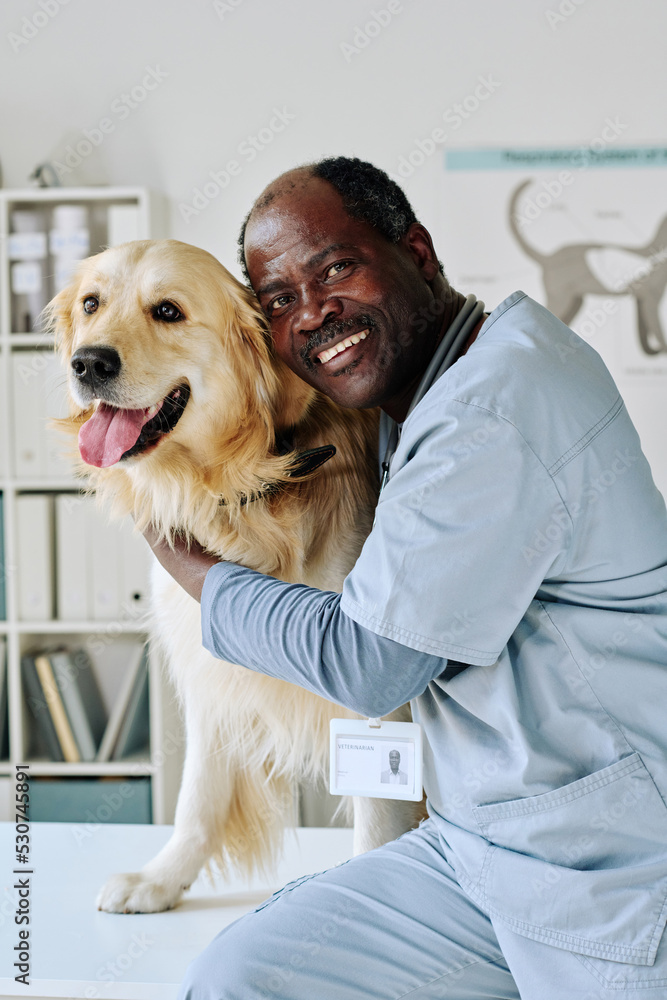 Portrait of African professional veterinarian embracing purebred dog and smiling at camera at vet room