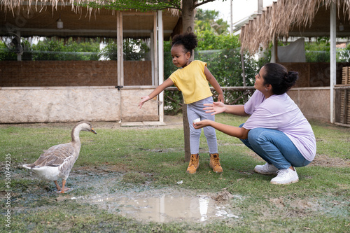 Happy mother with African American daughter feed goose at farm photo