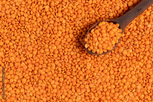 Organic red lentils. Top view.