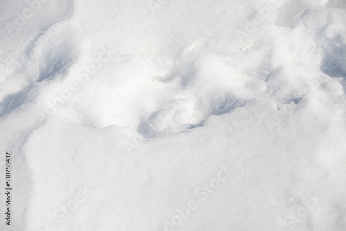 White winter background, snow texture. © Prikhodko