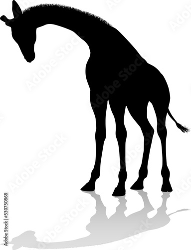 Giraffe Animal Silhouette