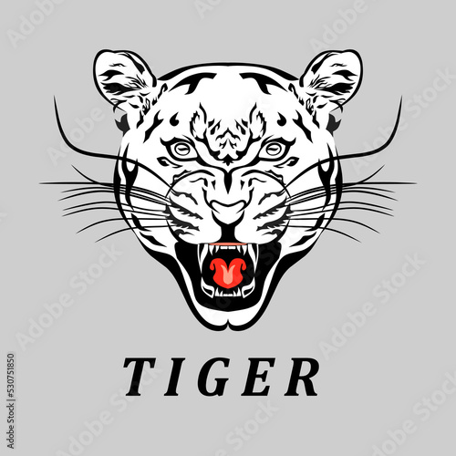 Vector of fierce tiger head. Tiger head outline 