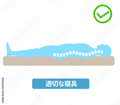 腰痛と姿勢　背骨とマットレスや寝具の関係