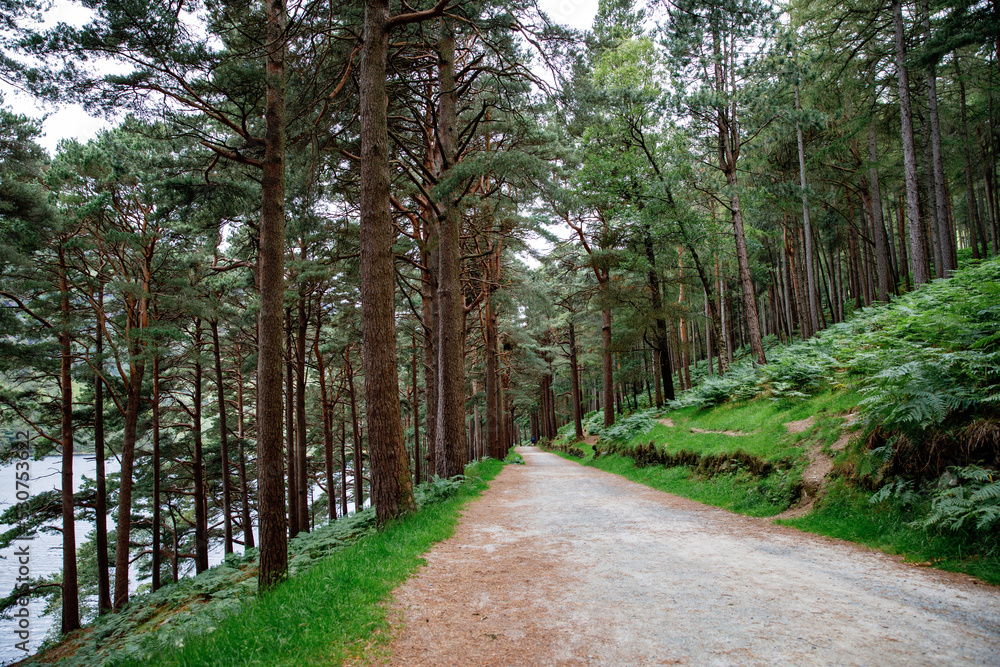 Idyllic view in Glendalough Valley forest with footpath, County Wicklow, Ireland. Mountains, lake and tourists walking paths Idyllic view in Glendalough Valley forest with footpath, County Wicklow, Ireland. Mountains, lake and tourists walking paths