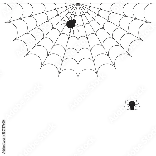 Cobweb and spiders. Halloween spiderweb vector illustration. Spider web.