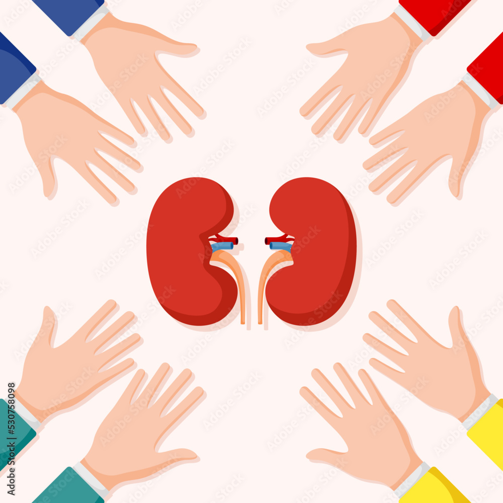 Set of hands gestures with kidney Set of hands gestures with kidney