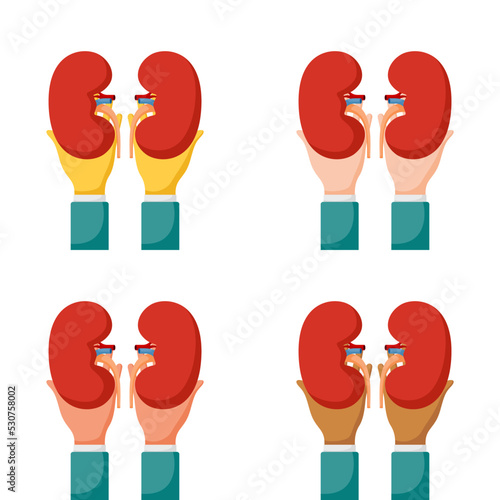 Set of hands gestures with kidney