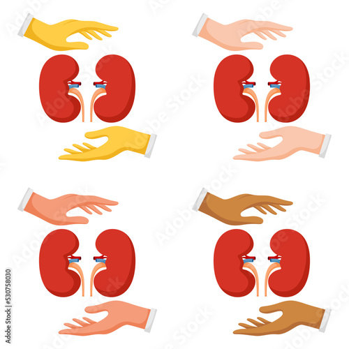 Set of hands gestures with kidney