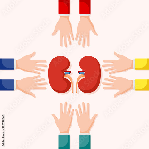 Set of hands gestures with kidney