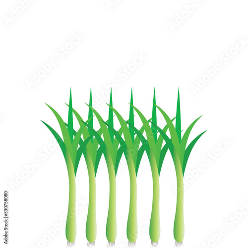 Leek vegetable icon template