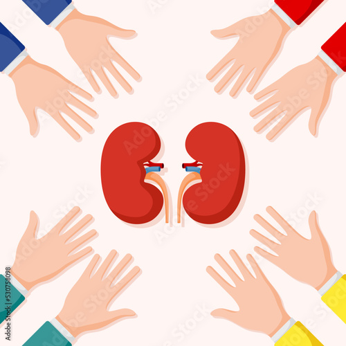 Set of hands gestures with kidney