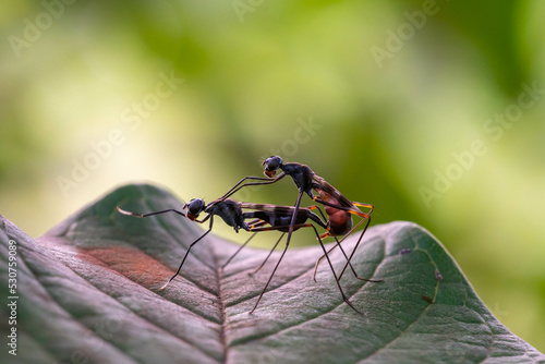 Wallpaper Mural Language of love in the wild - beyond disability Torontodigital.ca